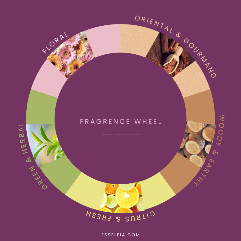Fragrence wheel with scent families